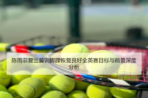 陈雨菲复出首训脚踝恢复良好全英赛目标与前景深度分析