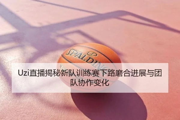 Uzi直播揭秘新队训练赛下路磨合进展与团队协作变化